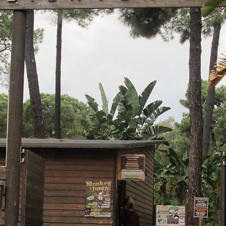 Apartamento En Los Patios De Santa Maria Golf 马尔韦利亚 外观 照片
