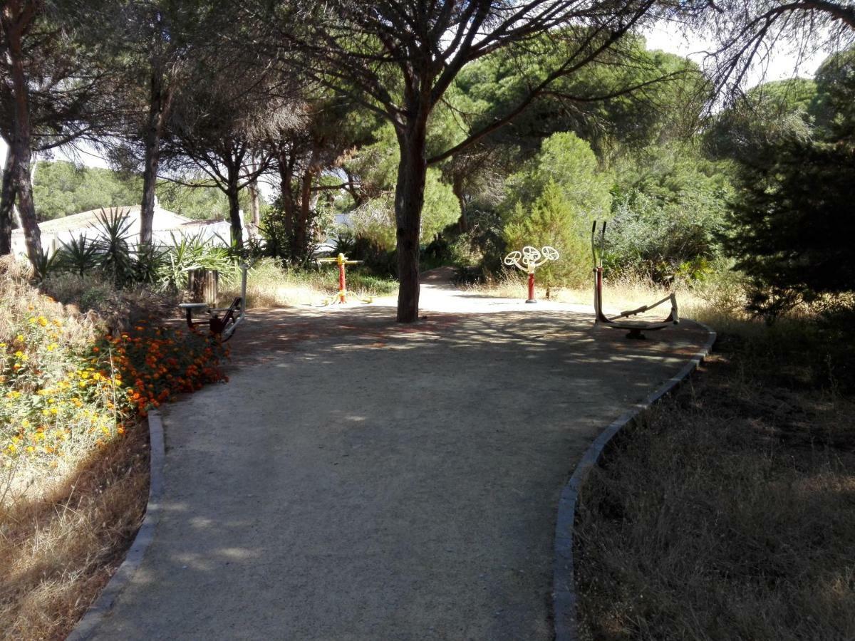 Apartamento En Los Patios De Santa Maria Golf 马尔韦利亚 外观 照片