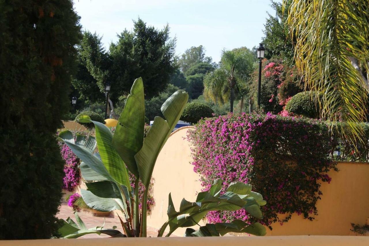 Apartamento En Los Patios De Santa Maria Golf 马尔韦利亚 外观 照片